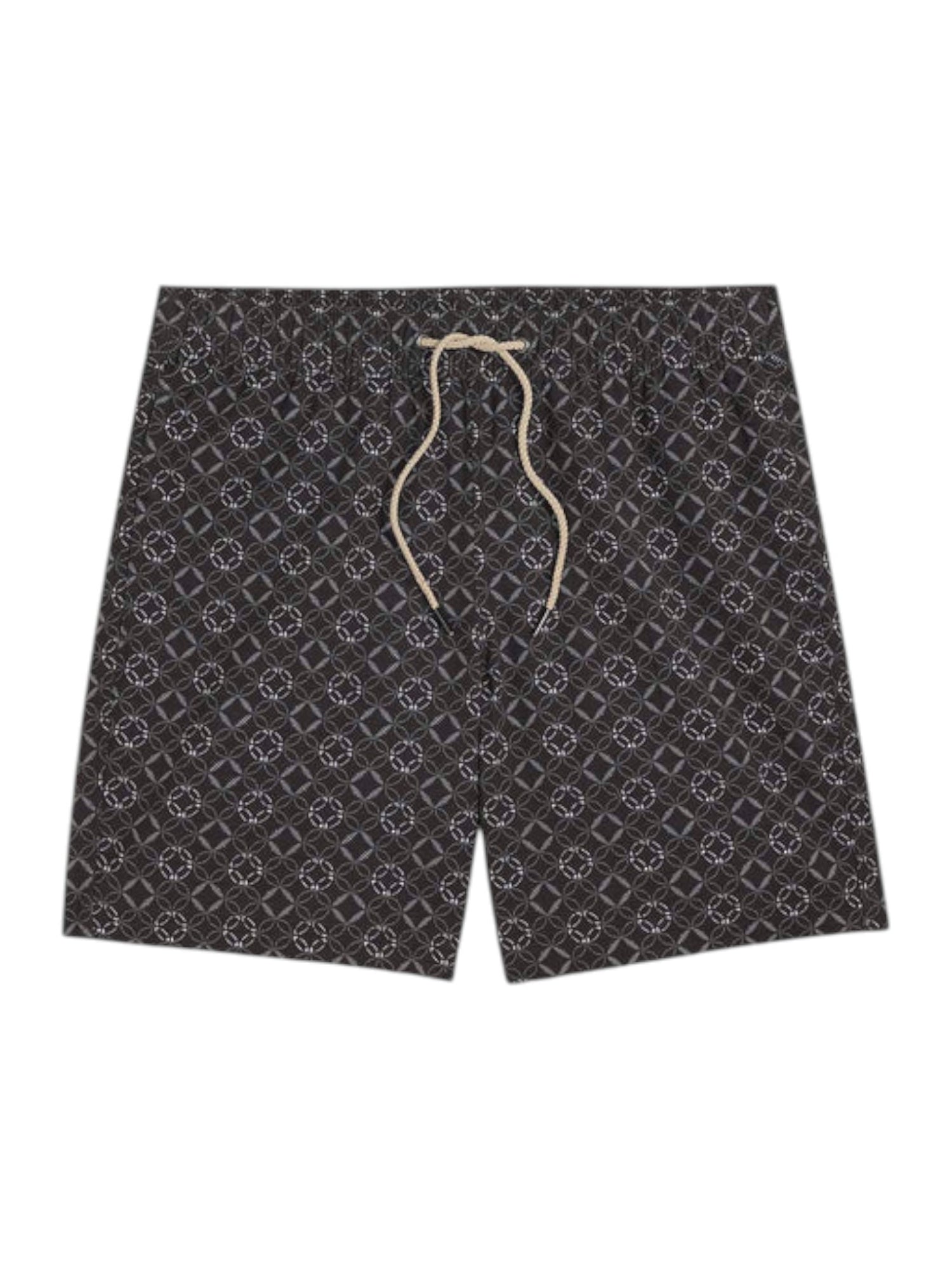 BAYBERRY TRUNK