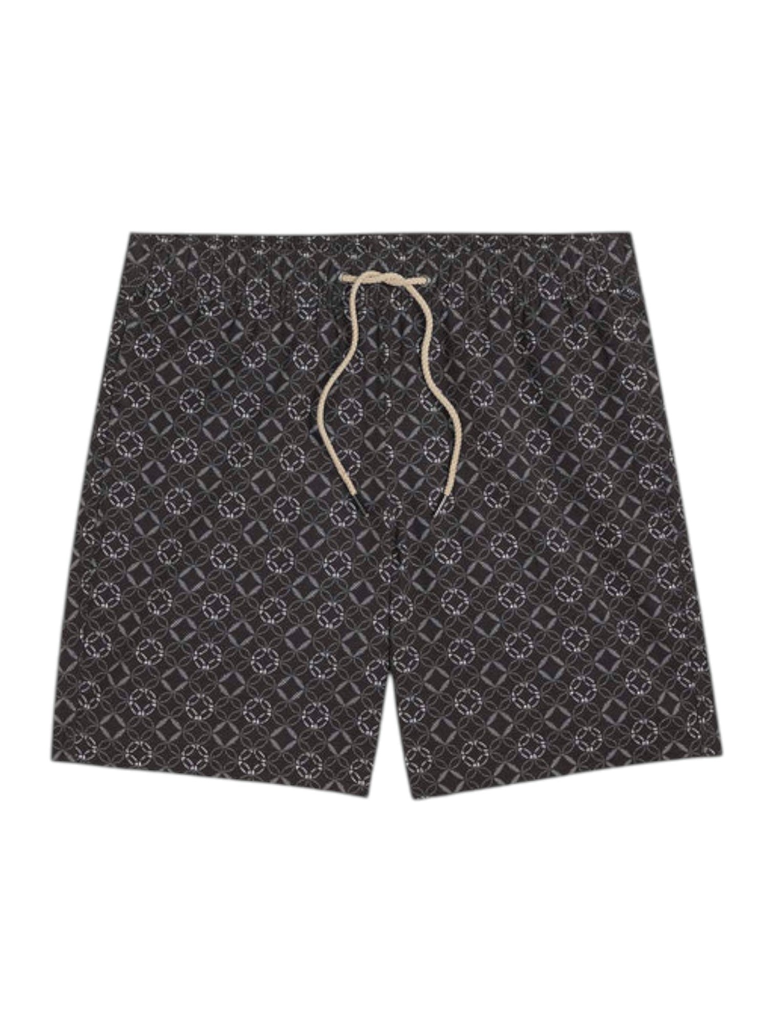BAYBERRY TRUNK