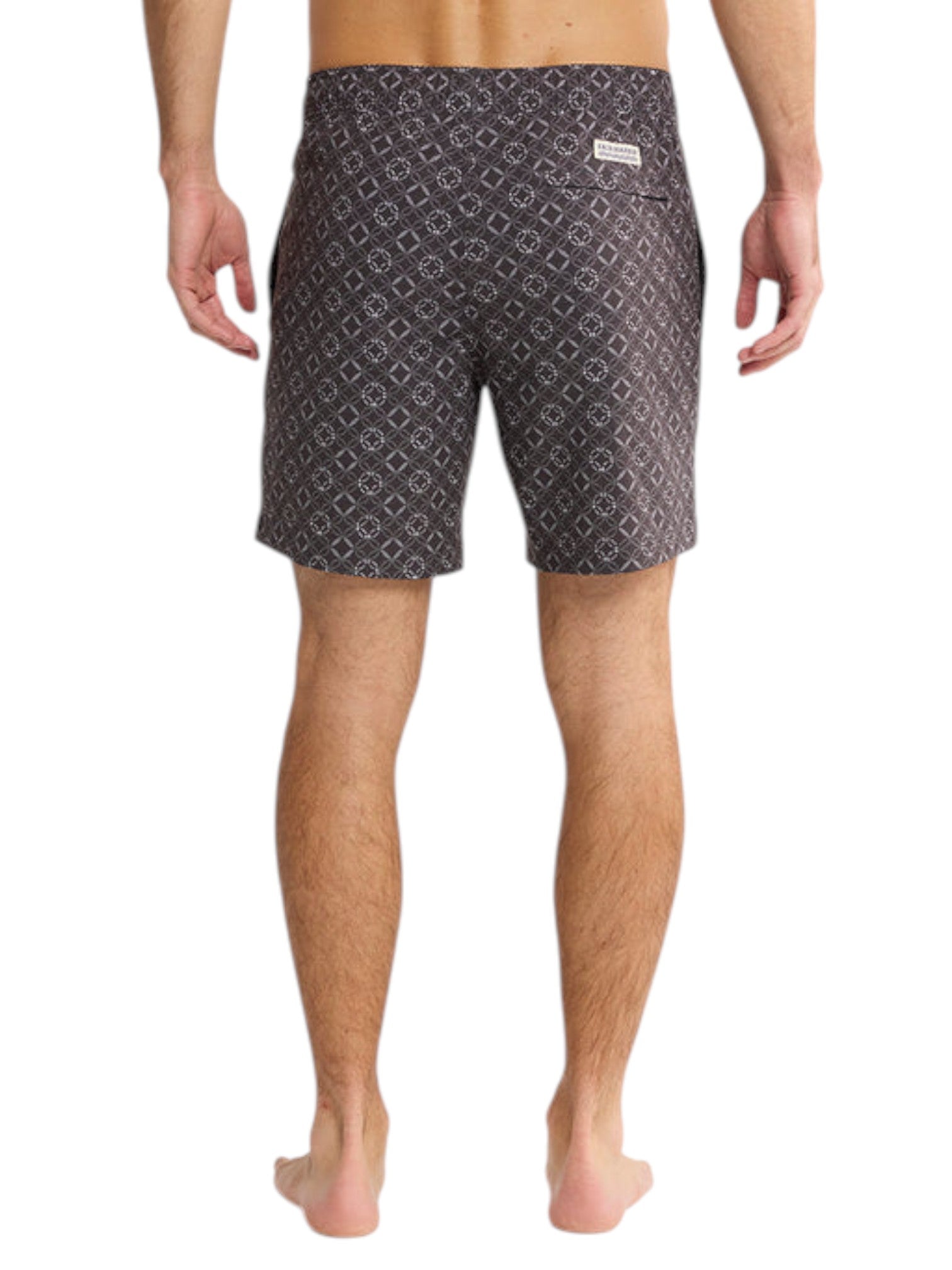 BAYBERRY TRUNK